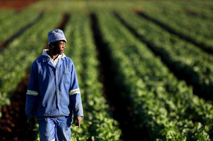 A historic treaty to revolutionize agriculture - La Nouvelle Tribune