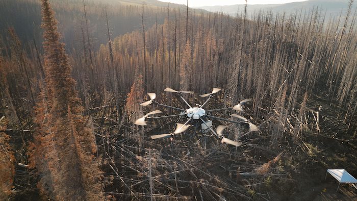 Flash Forest Drone flies over the burnt forest to the west.