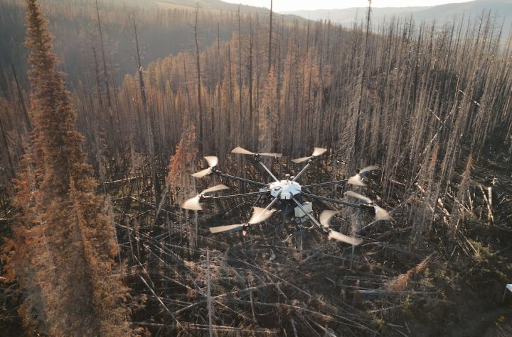 Drones boost reforestation of burned forest in Quebec