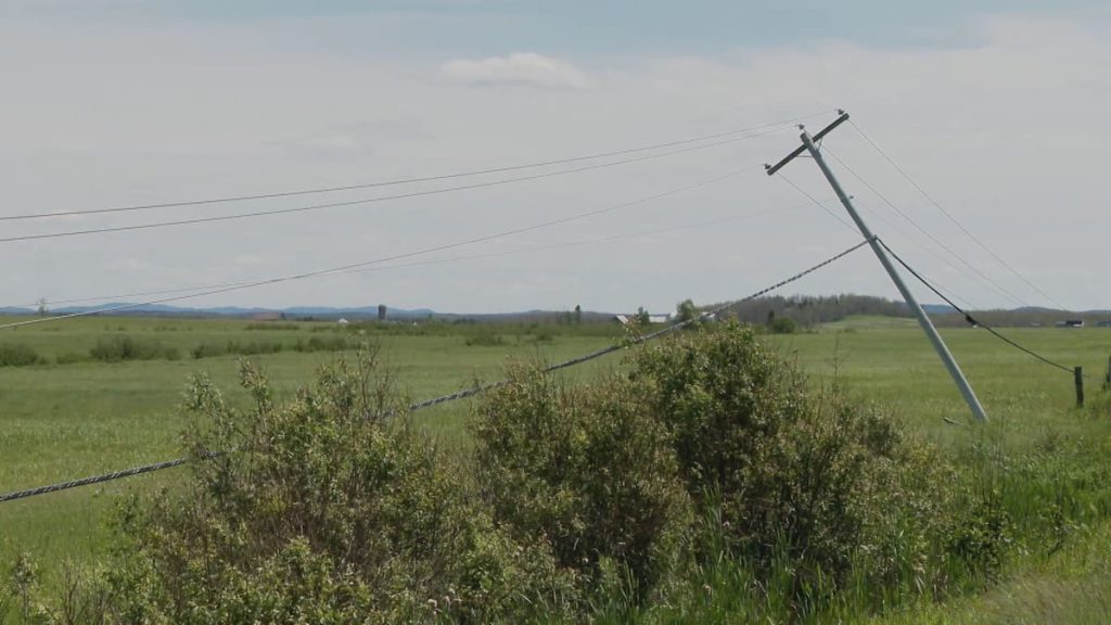 In pictures |  Around 40 electricity poles were downed in ABTB due to the storm