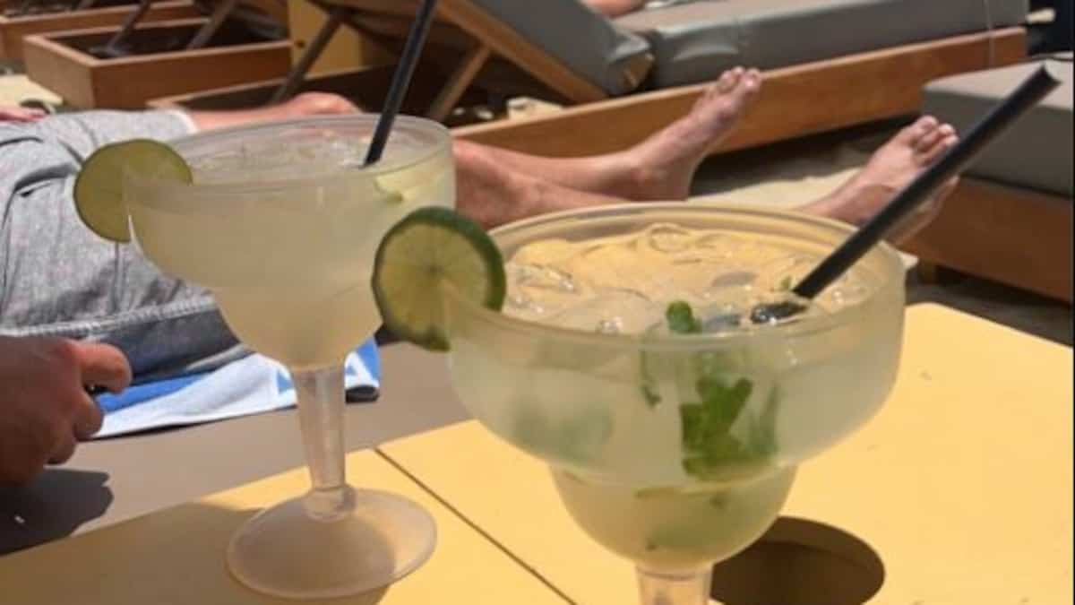 $1000 for two drinks: A Greek restaurant still doing its thing