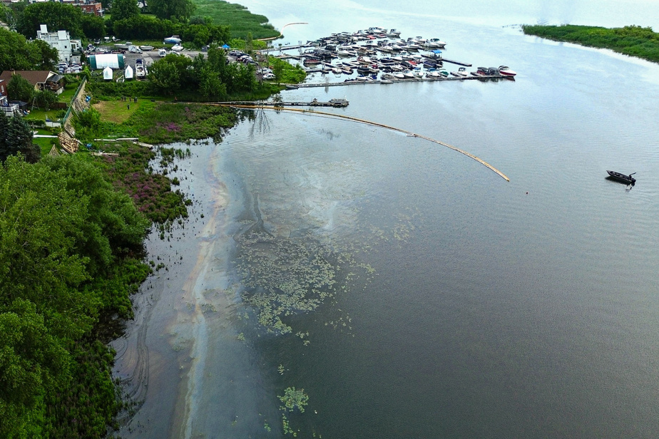 Oil spill in Pointe-aux-Trembles |  Quebec has suspended its investigation into the source of the spill