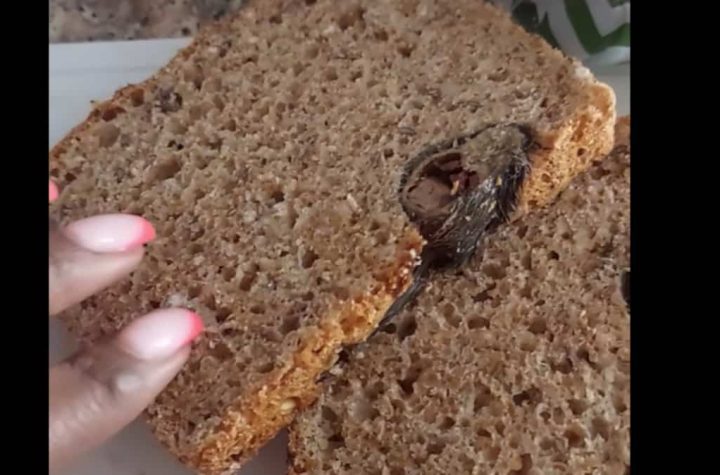 "Forgive us": she finds a mouse in her bread